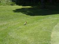 InfoXXX